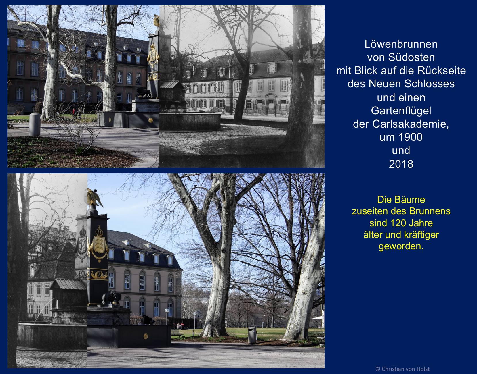 Carlsakademie: Vorkriegs- und Nachkriegsjahre am Beispiel Löwenbrunnen