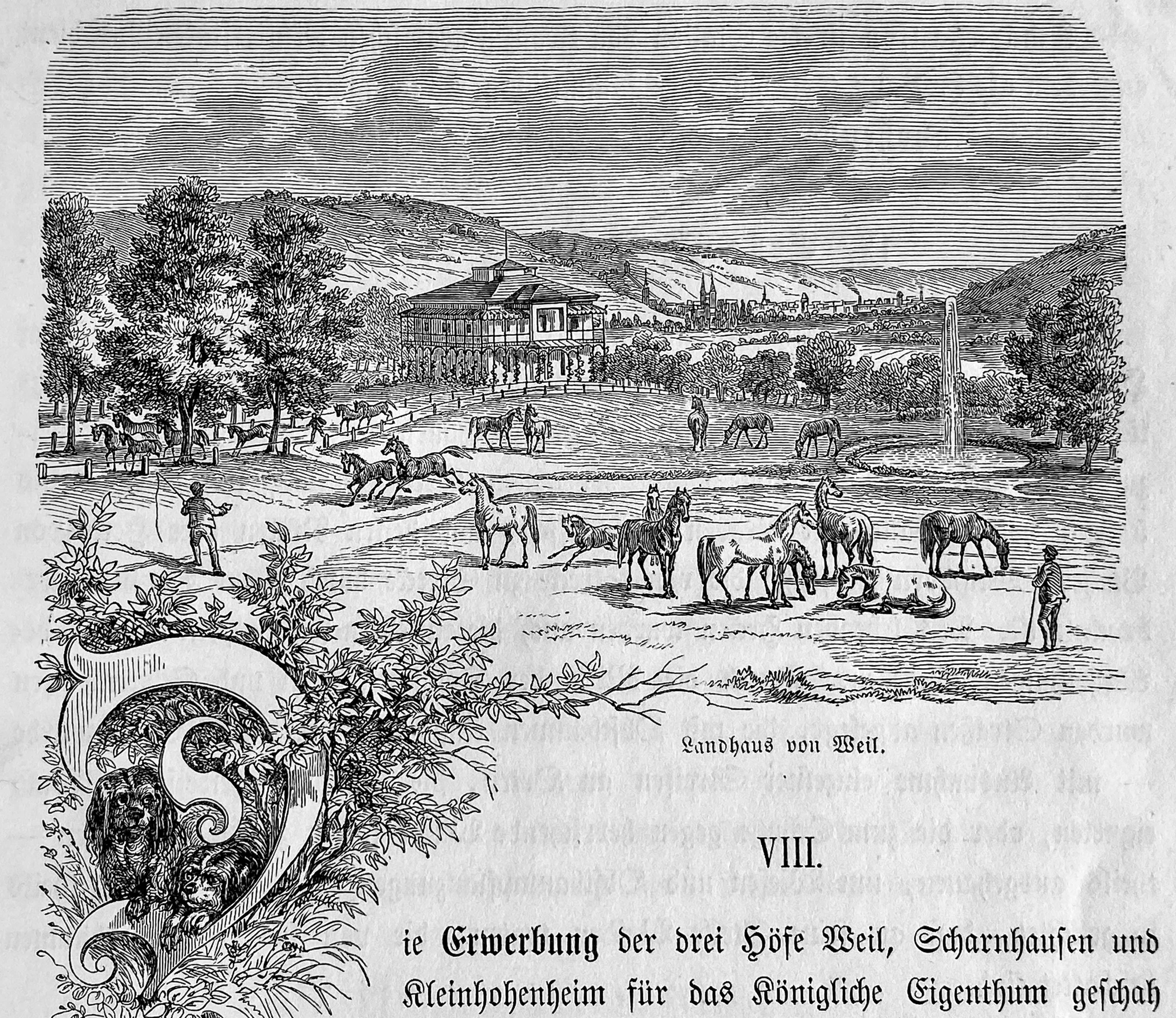 Schlösschen Weil inm schönen Neckartal bei Esslingen 1861