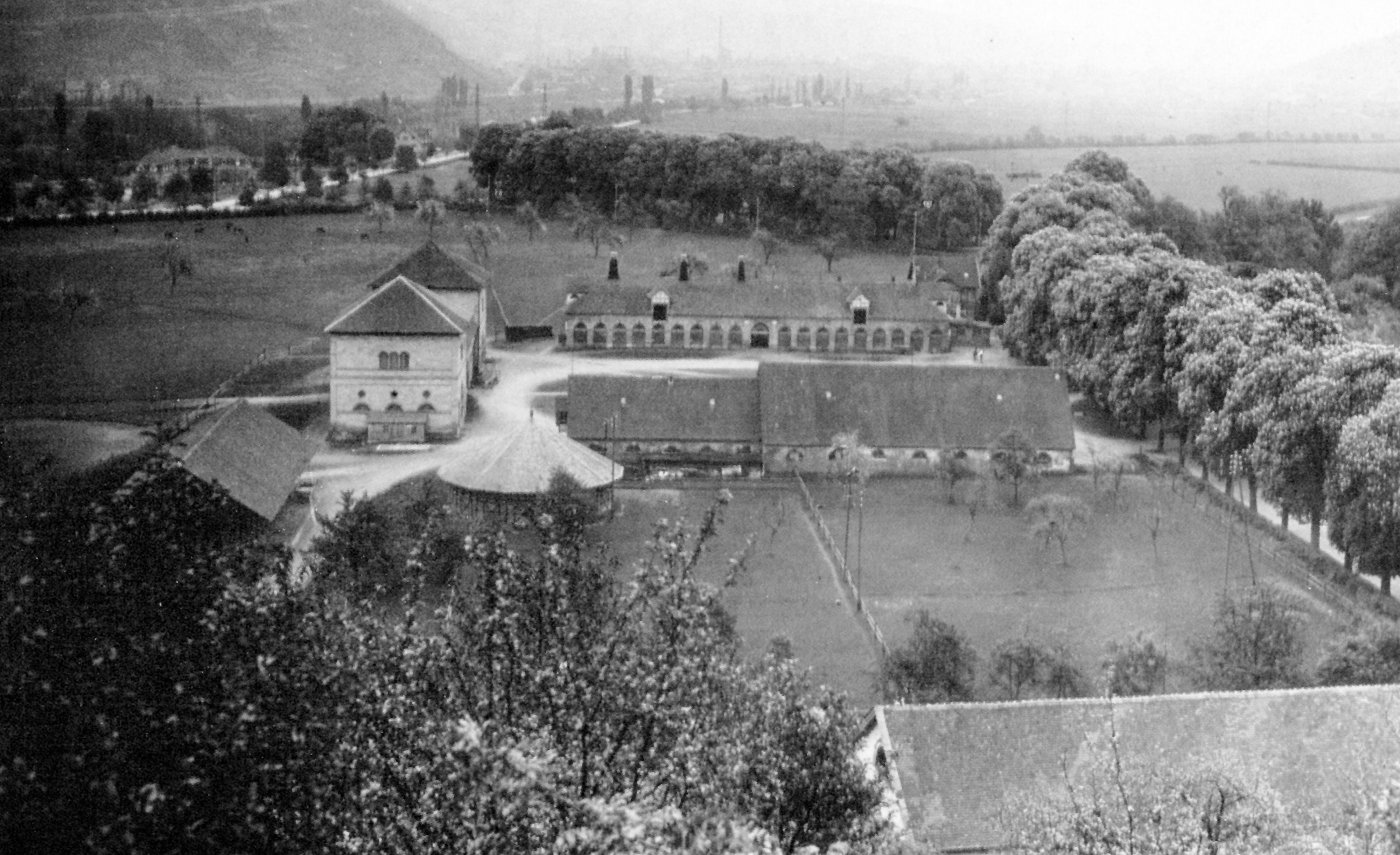 Gestüt Weil – Grosser Stall von 1858 noch erhalten Foto 1928