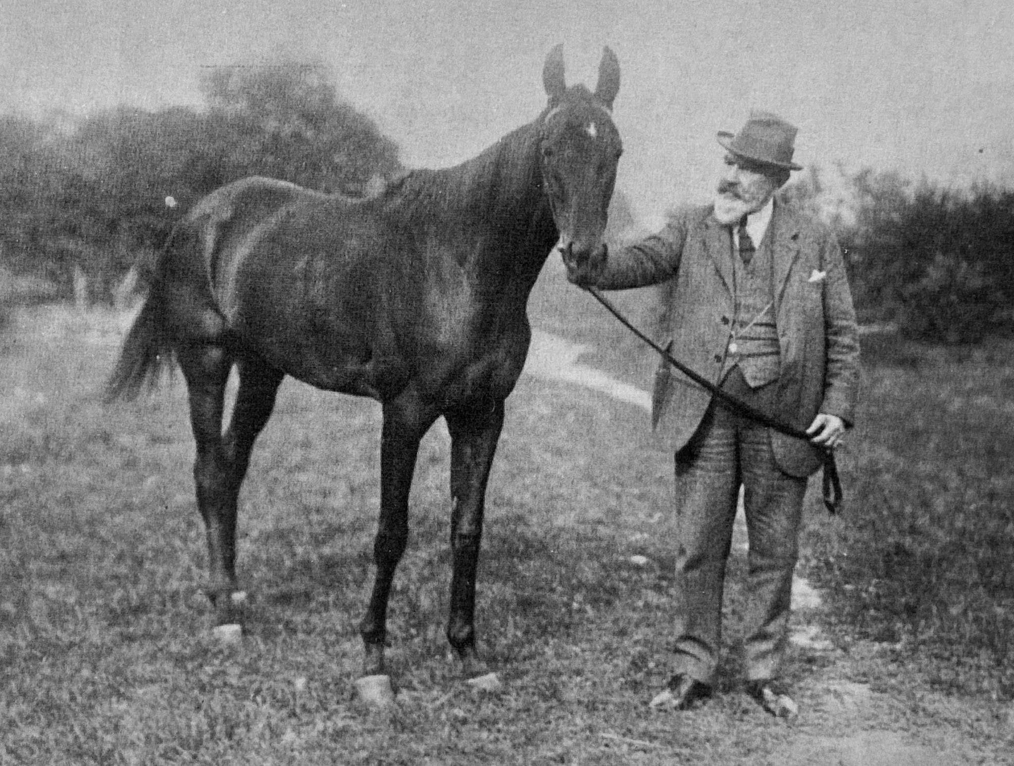 Gestüt Weil Ausklang und Zukunft in Marbach mit besten Perspektiven