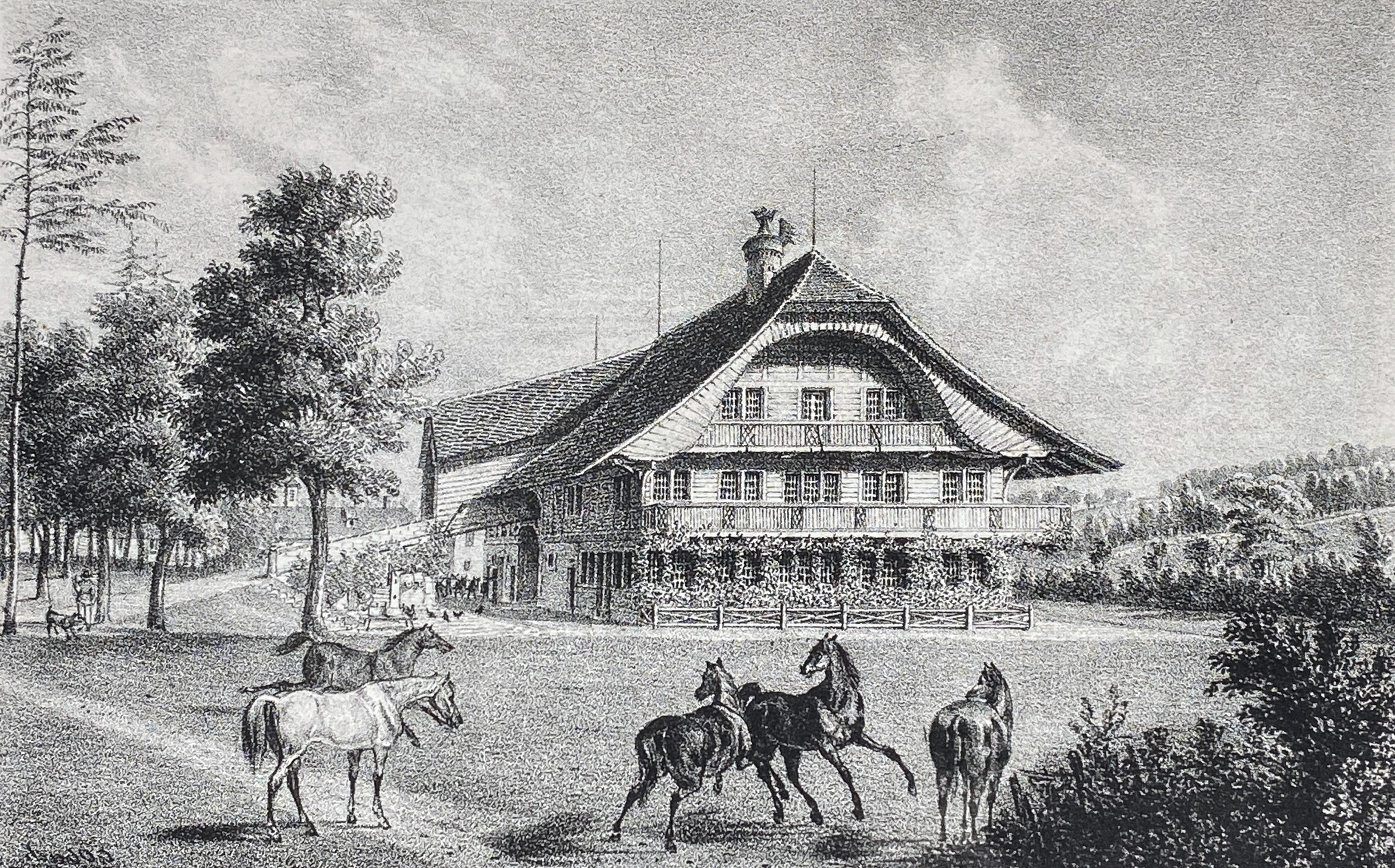 Gestüt Kleinhohenheim: das Schweizer Haus Lithographie nach Friedrich Kellers Zeichnung
