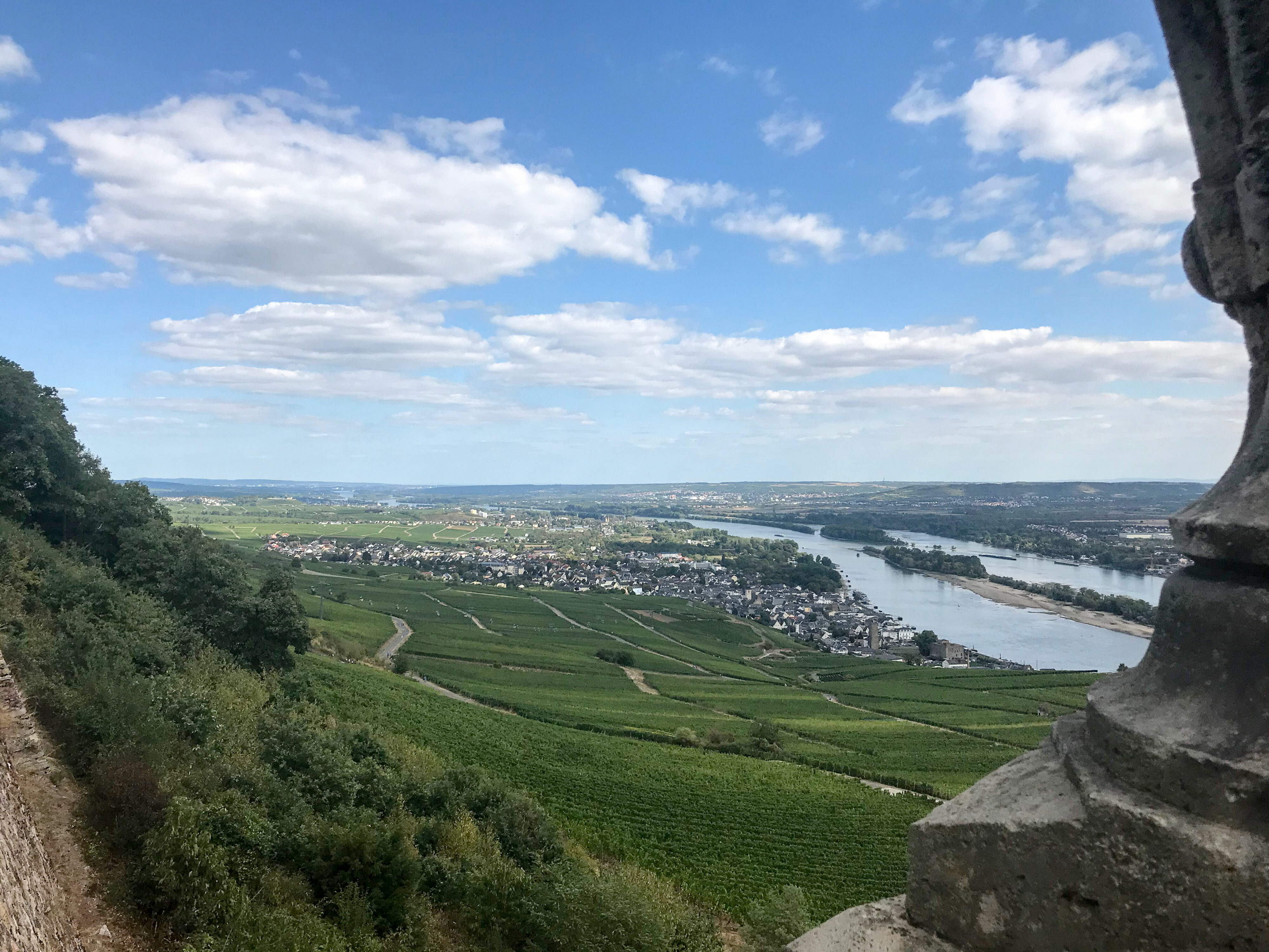 Rheintal bei Rüdesheim