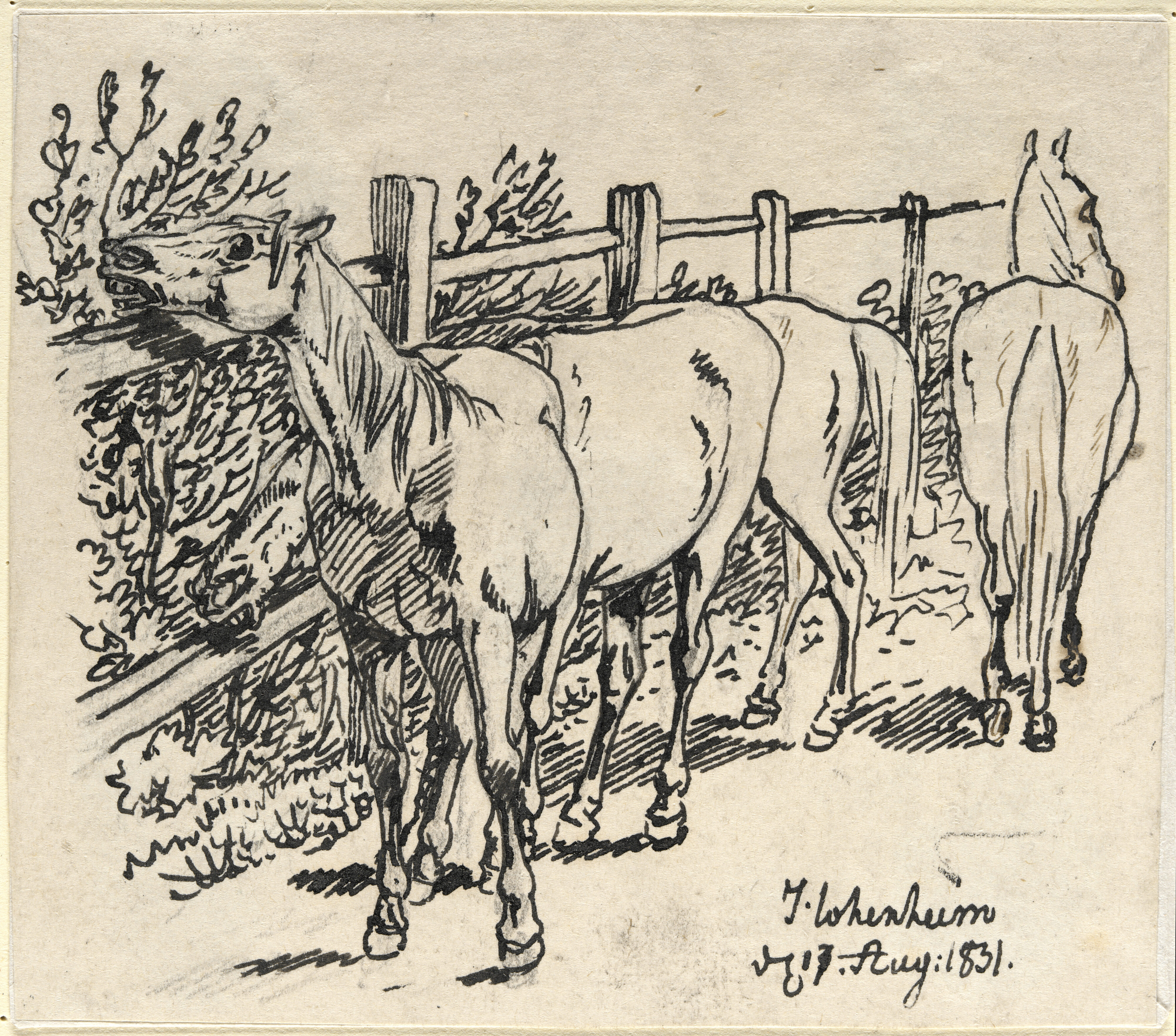 Albrecht Adam, Pferdeleben bei Stuttgart: Pferde auf der Weide