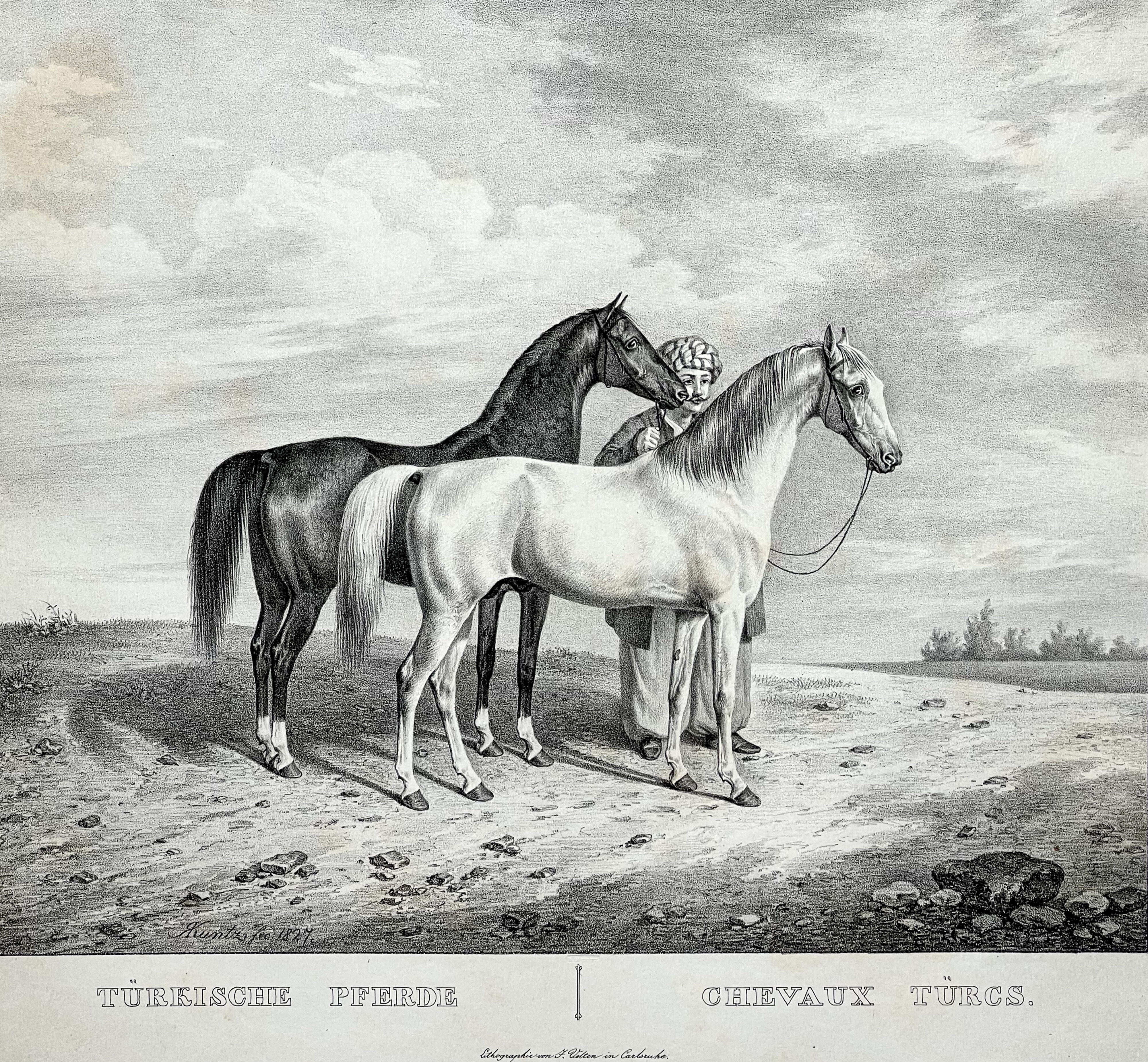 Rudolf Kuntz, Pferderassen 1827: Türkische Pferde