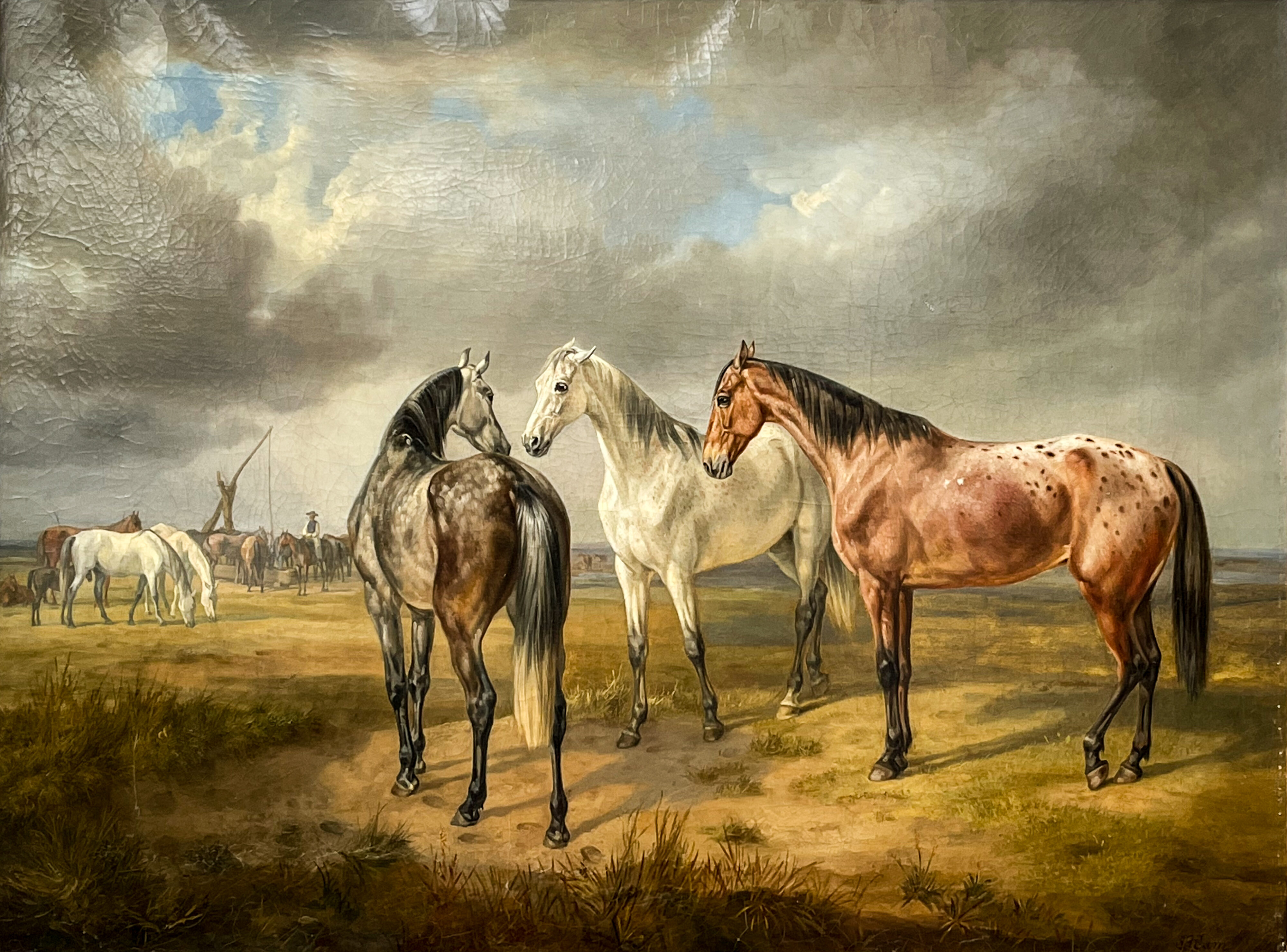 Albrecht Adam, Pferdebegegnungen in der Puszta 1848
