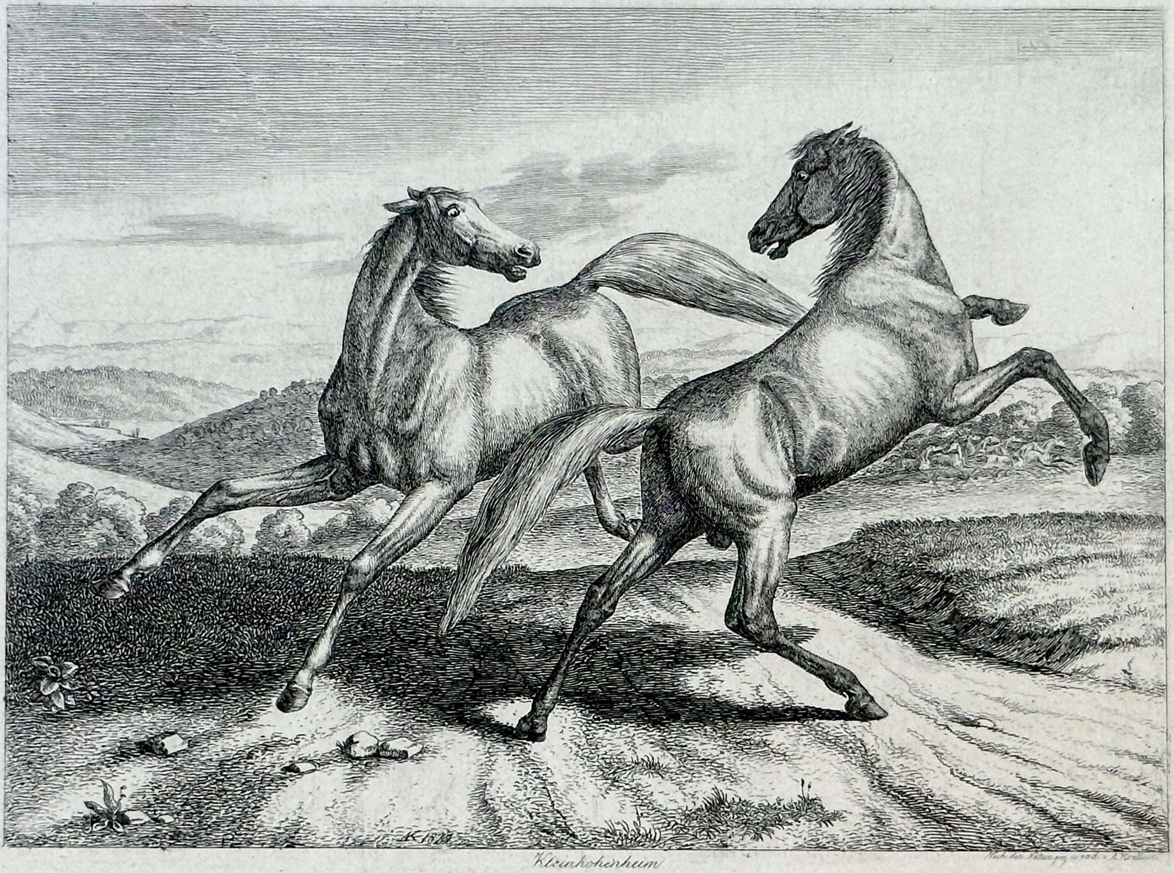 August Koellner, Königliche Pferde I = Vollblutaraber des Privatgestüts von König Wilhelm I. bei Stuttgart, 1837/38