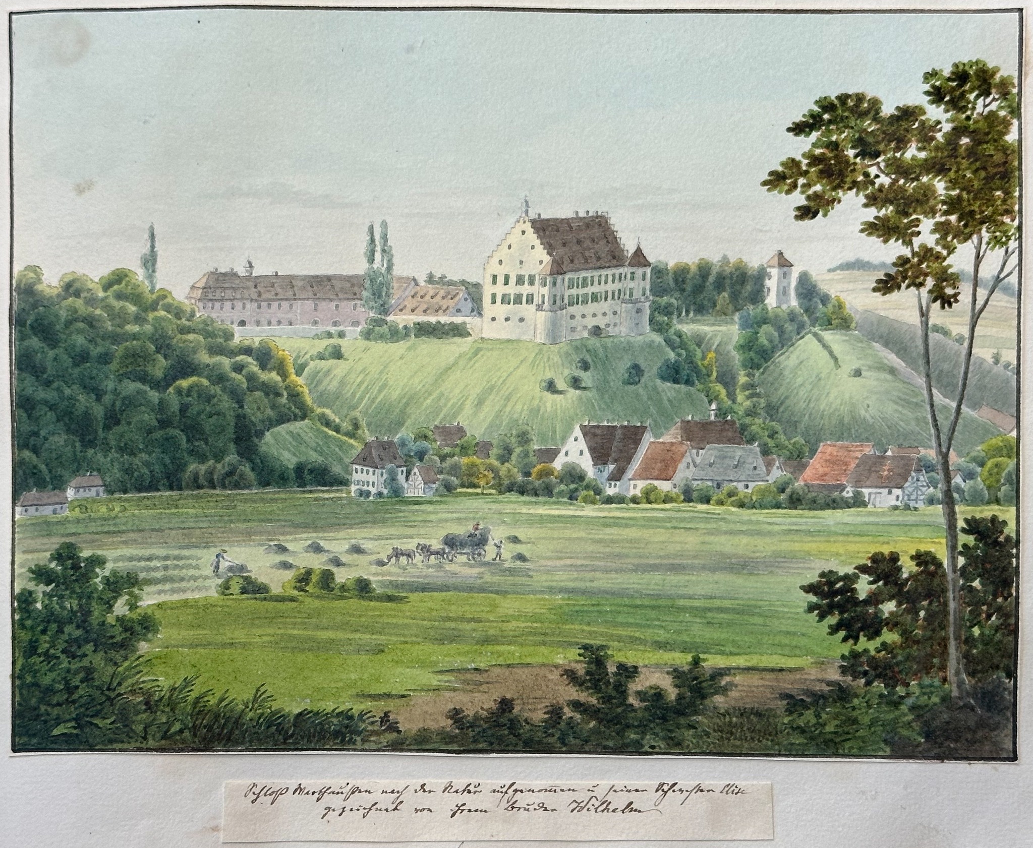 Schloss Fachsenfeld XIV – talentierte Koenigs I: Wilhelm von Koenig, Schloss Warthausen