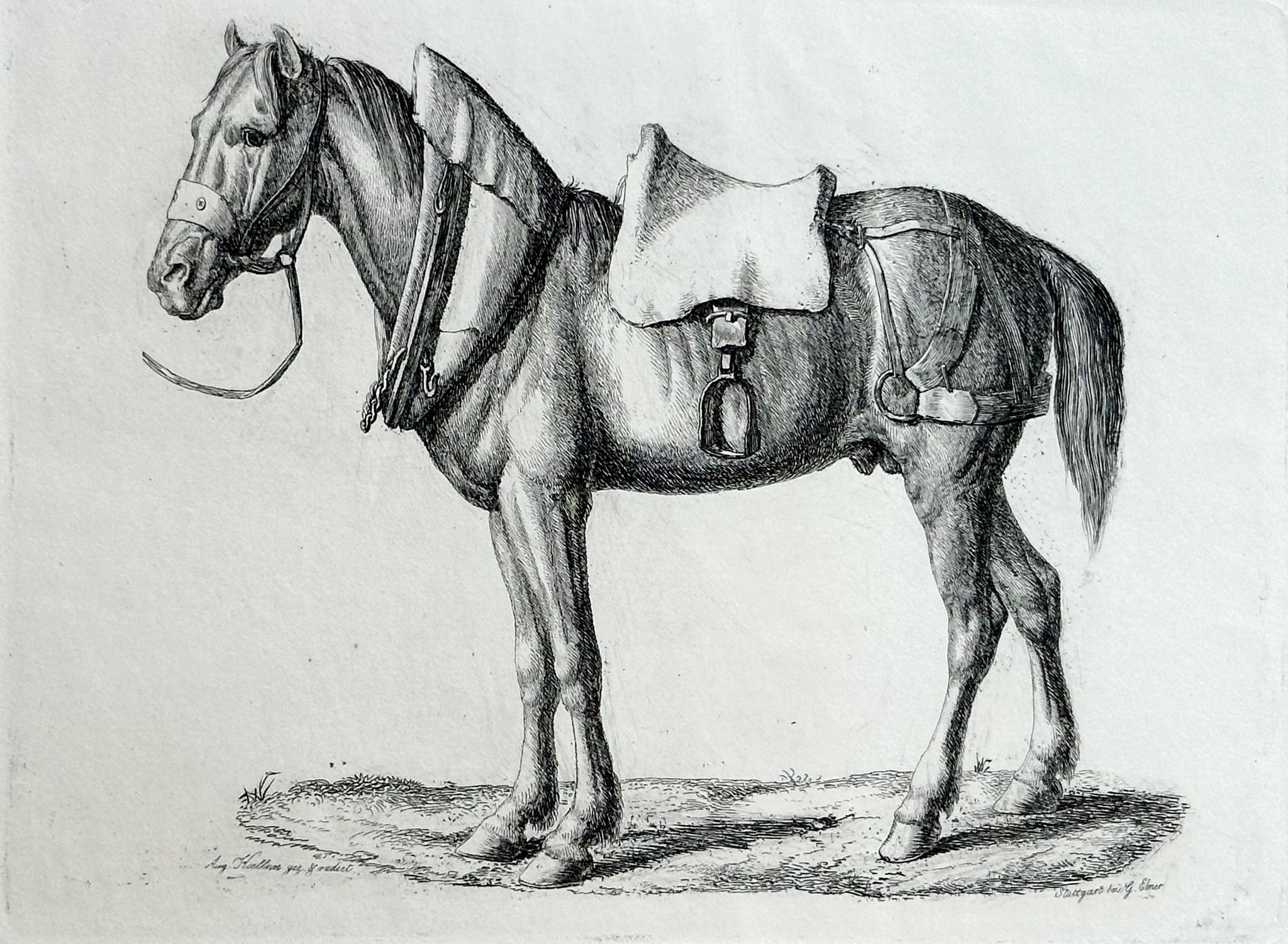 August Koellner, Studien von Tieren, Staatsgalerie Stuttgart
