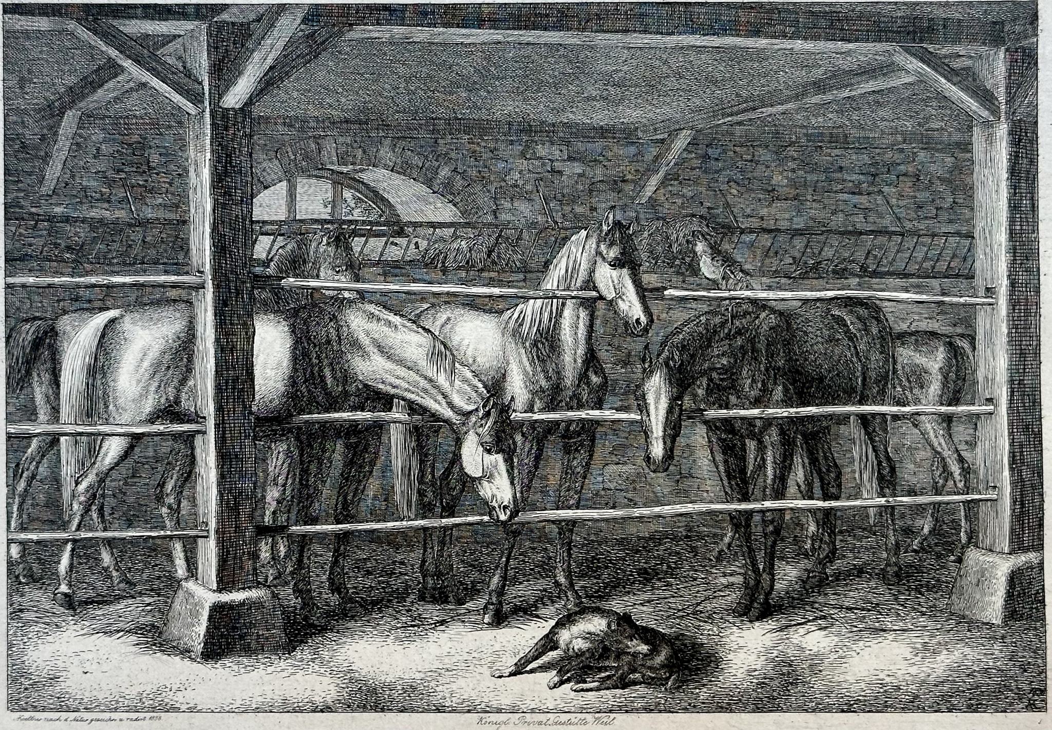 August Koellner, Studien von Tieren, Staatsgalerie Stuttgart: Weil