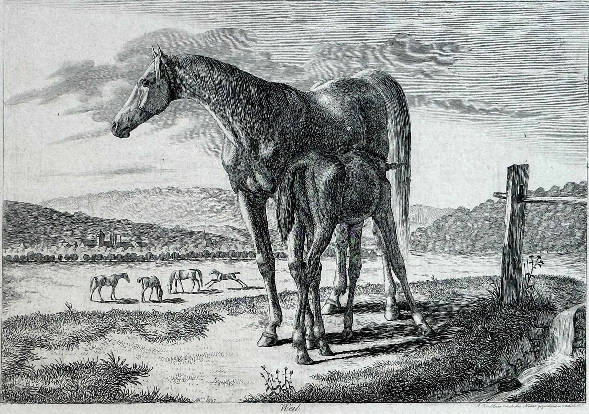 August Koellner, Königliche Pferde I, Staatsgalerie Stuttgart: Weil