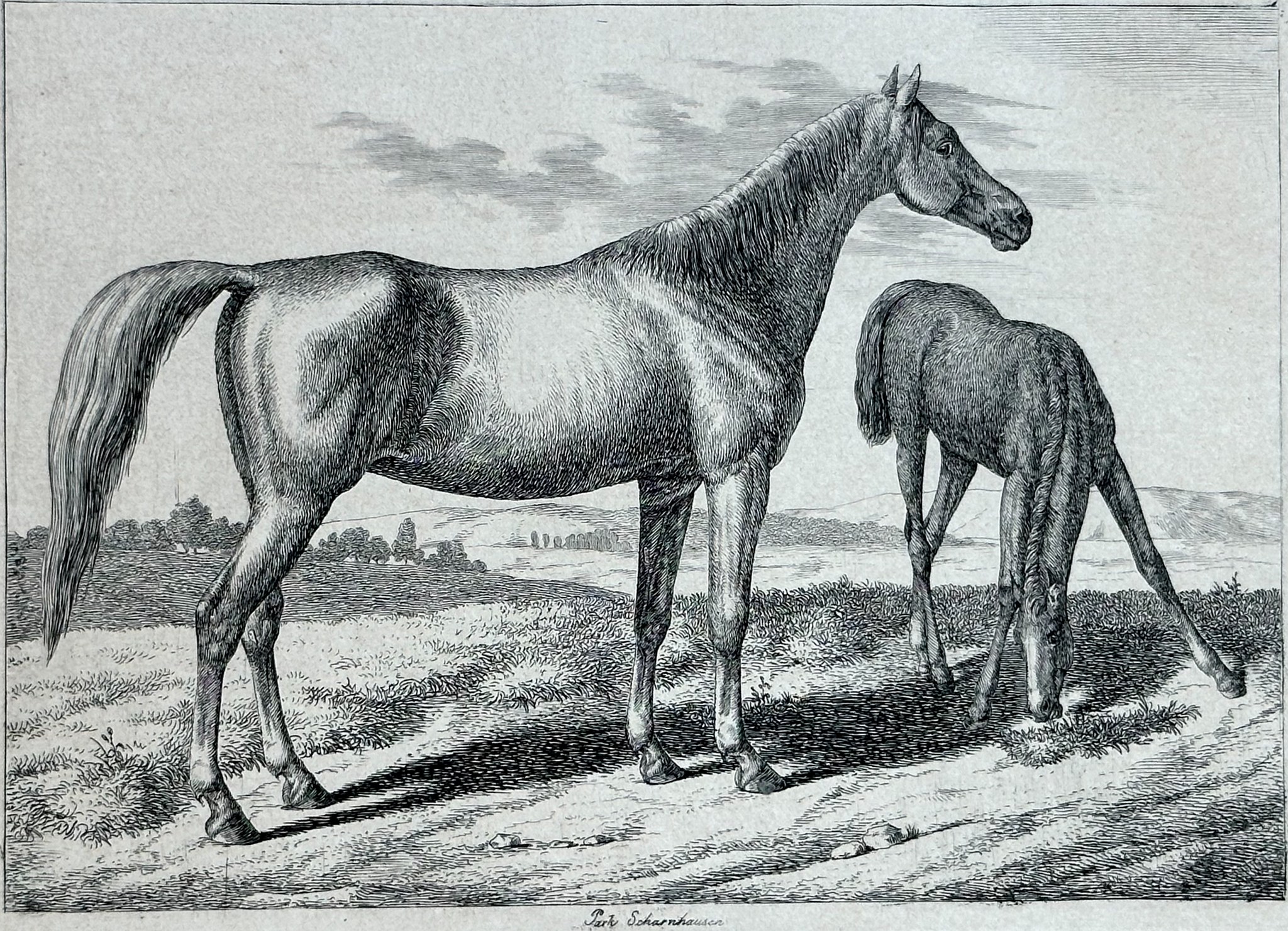 August Koellner, Königliche Pferde I, Staatsgalerie Stuttgart: Scharnhausen
