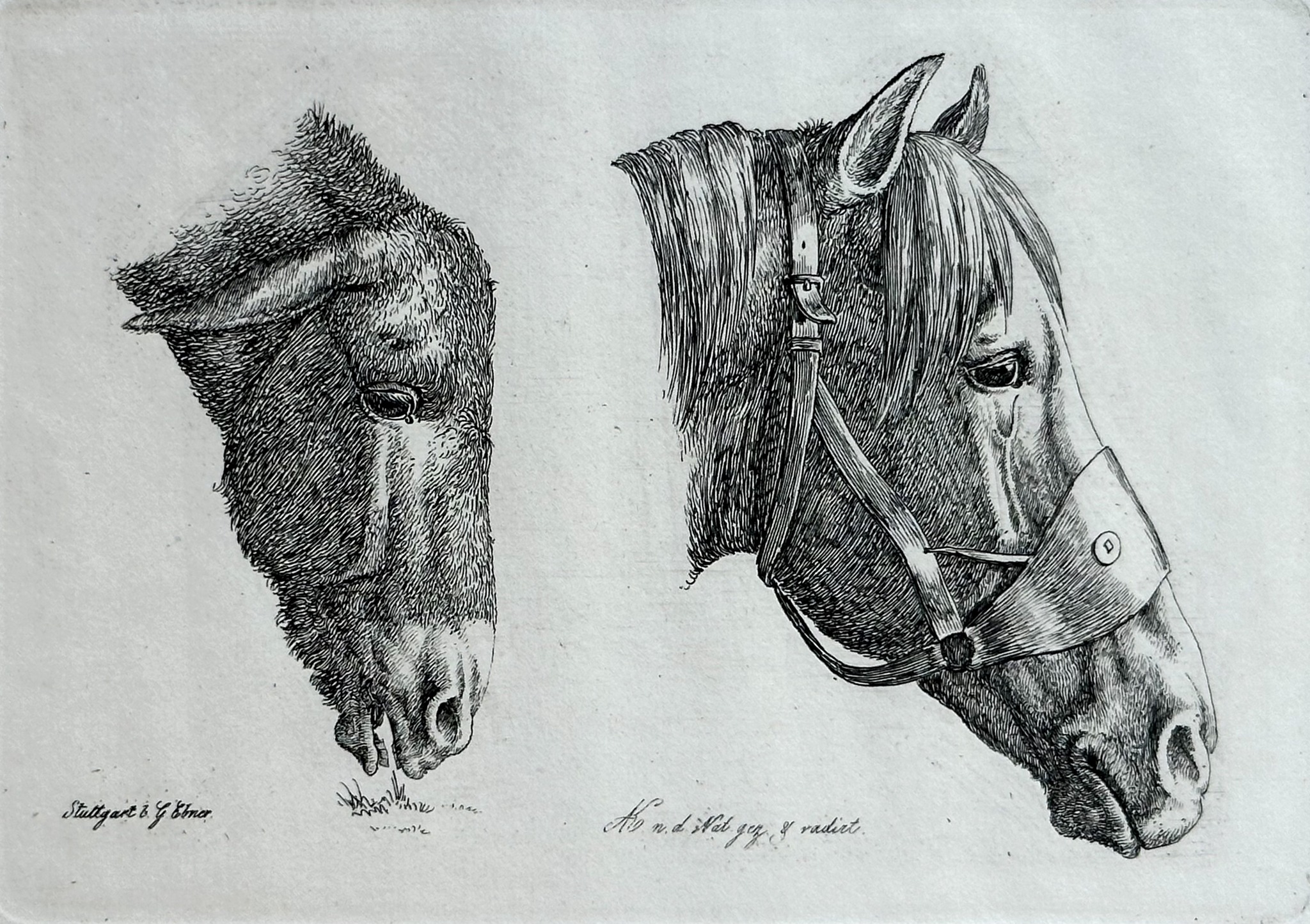 August Koellner, Studien von Tieren, Staatsgalerie Stuttgart
