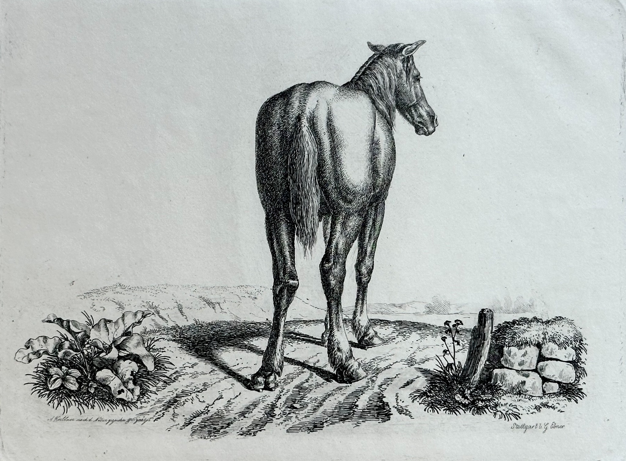 August Koellner, Studien von Tieren, Staatsgalerie Stuttgart