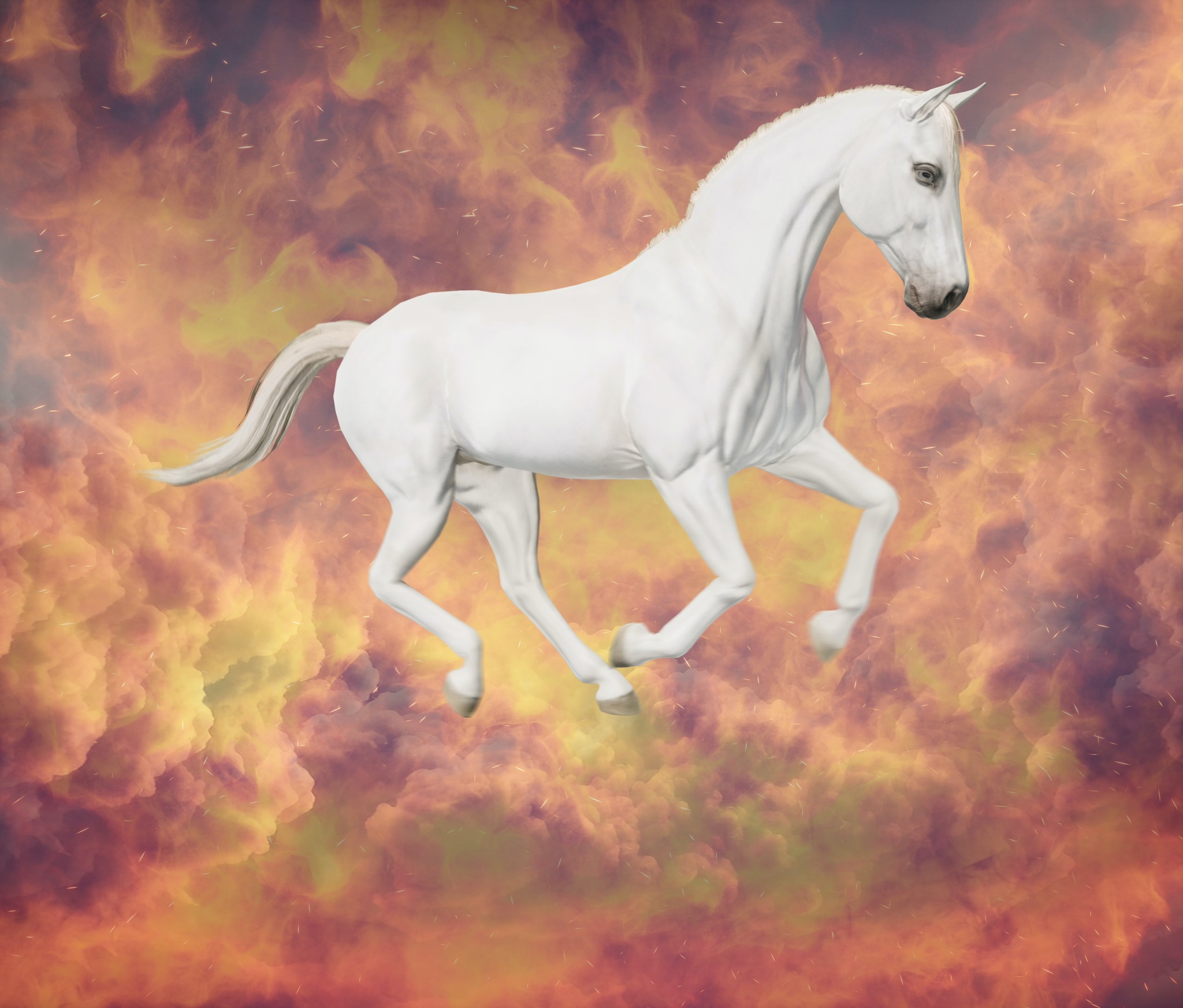 Bjørn Melhus, Pferde am Himmel, Videostills