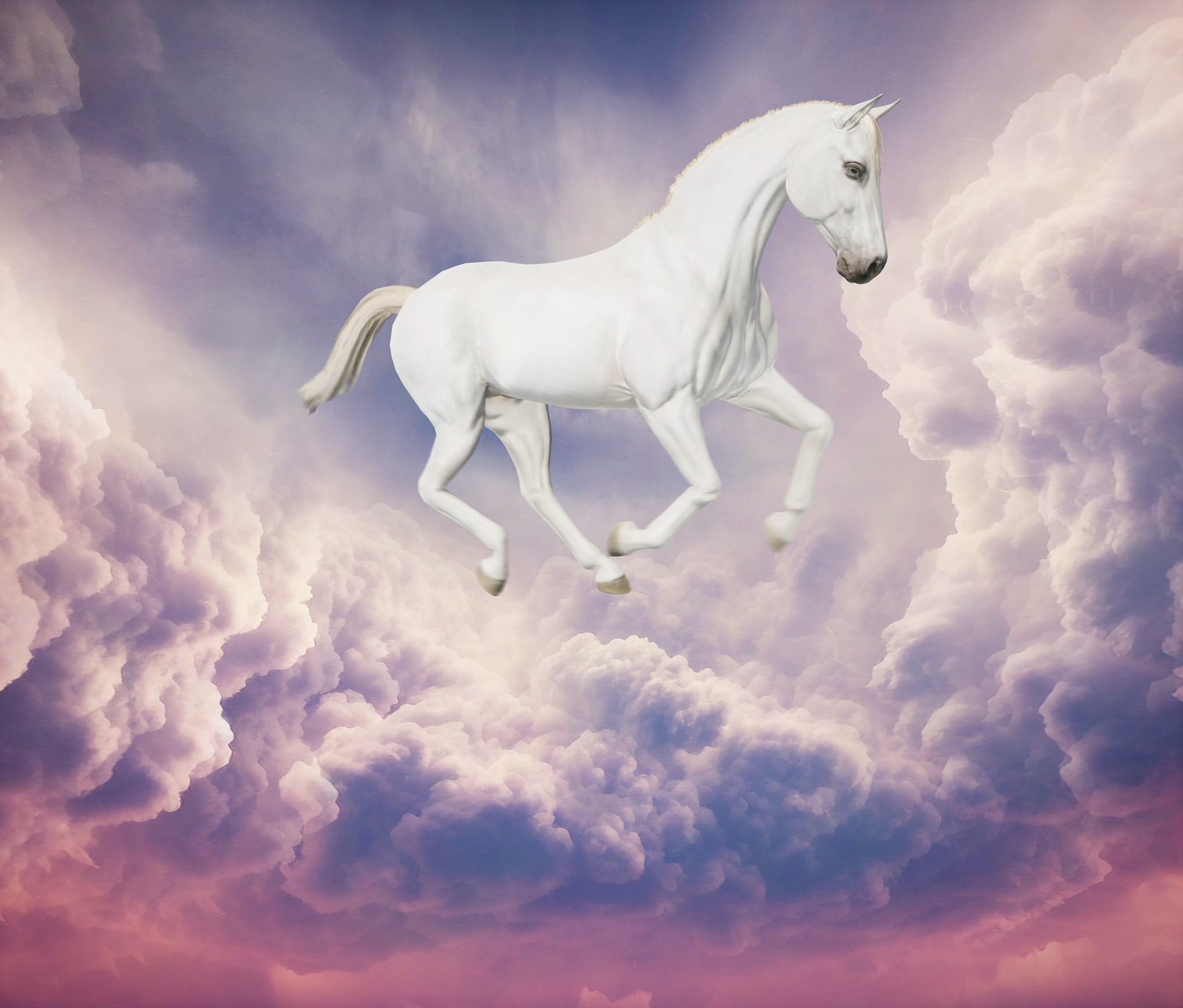 Bjørn Melhus, Pferde am Himmel, Videostills