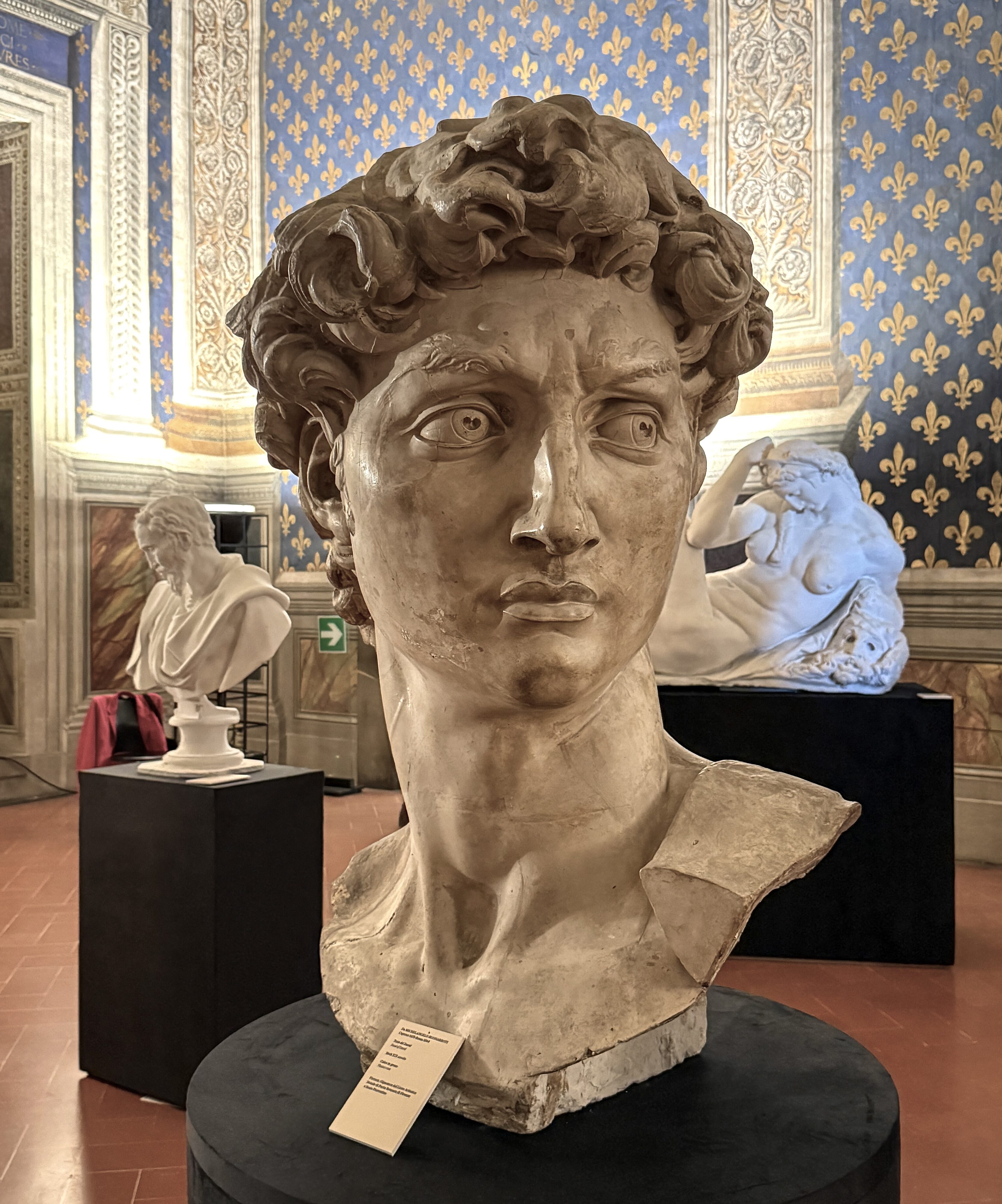 Florenz – Michelangelo, David