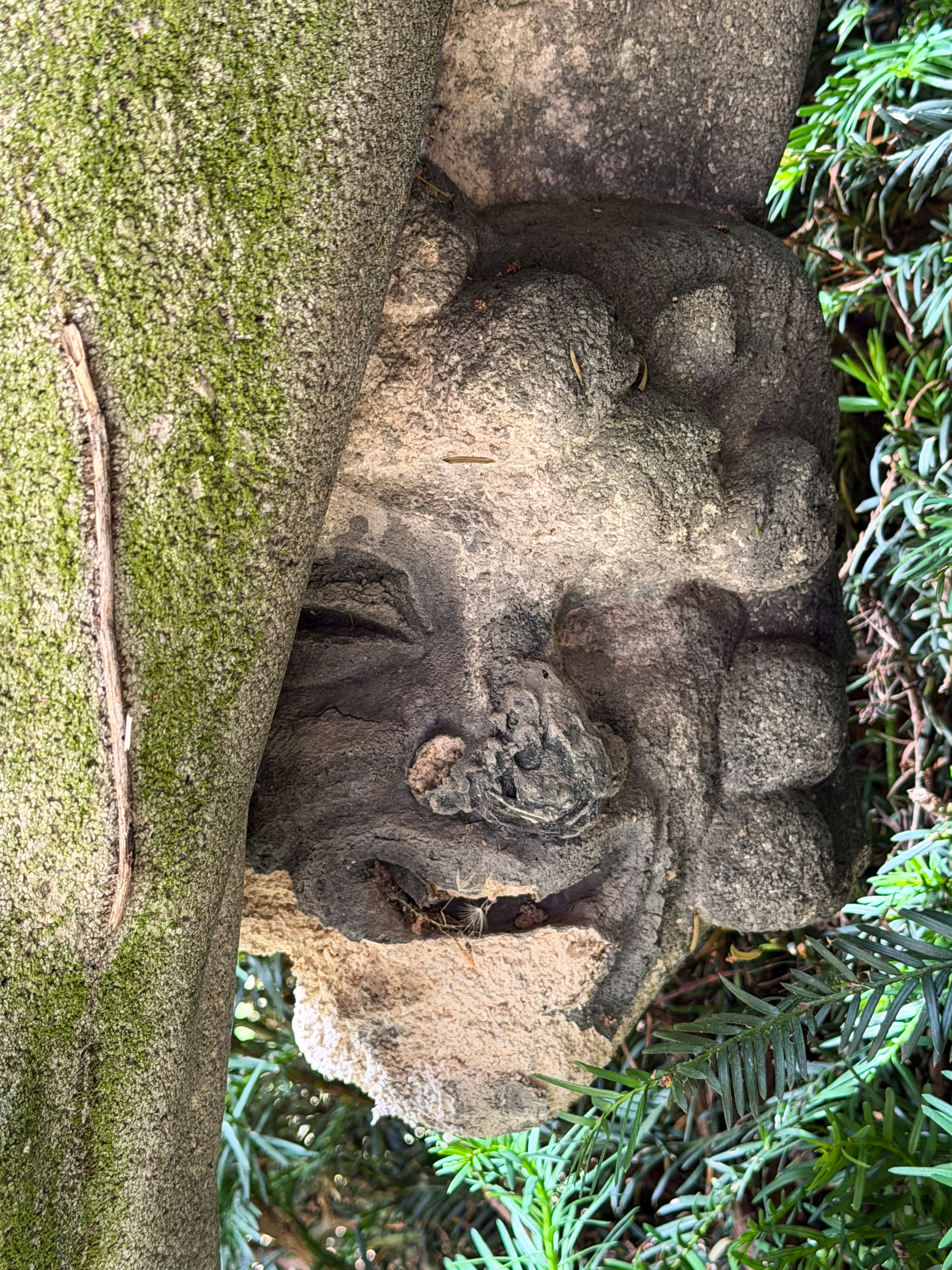 Karl Donndorf, Todesgenius Thanatos, Stuttgart, Pragfriedhof, mit der Maske des lachenden Lebens
